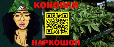 крисы Славянск-на-Кубани