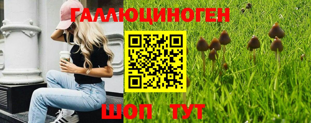 Галлюциногенные грибы MAGIC MUSHROOMS Приморско-Ахтарск