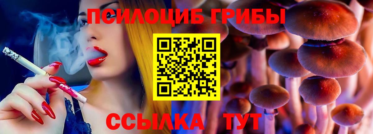 Псилоцибиновые грибы прущие грибы  Псилоцибиновые грибы мицелий  Приморско-Ахтарск  Вход с VPN 